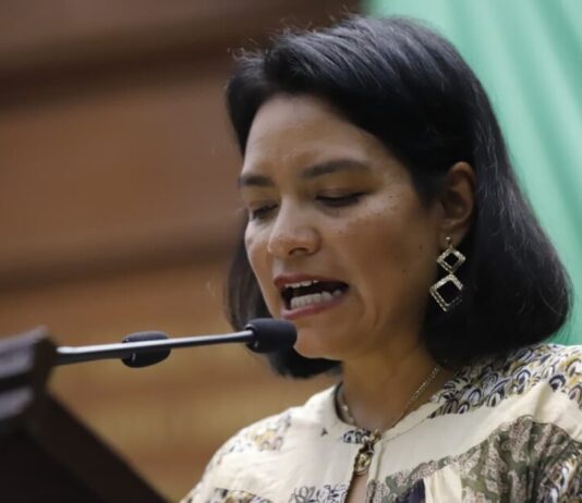 Propone Erendira Isauro reforma para garantizar educación inclusiva, con perspectiva de género y derechos humanos en Michoacán