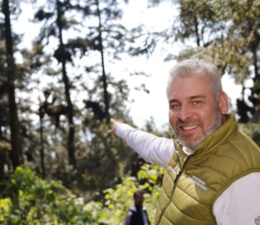 Michoacán logra récord histórico: alcanza 235 mil hectáreas de Áreas Naturales Protegidas