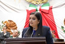 Propone diputada Tere Herrera garantizar asistencia social para personas con enfermedades raras en Michoacán