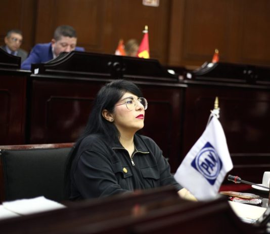 Vanhe Caratachea propone crear un registro de agresores sexuales de niñas, niños y adolescentes