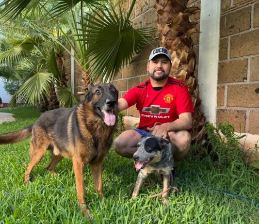 Octavio Ocampo resalta importancia de creación de Institutos Municipales de Protección Animal; propuesta que hizo llegar al pleno