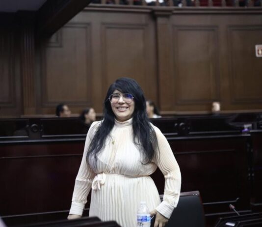 Vanhe Caratachea propone una ley para proteger a madres autónomas