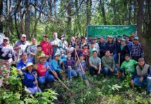 Dayana Pérez encabeza jornada de reforestación con la siembra de 6 mil árboles en Zirahuén