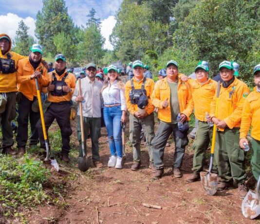 Dayana Pérez encabeza el arranque de la campaña “Reforestando Salvador Escalante”