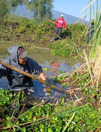 Con obras de conservación, Programa de Empleo Temporal blinda al lago de Pátzcuaro