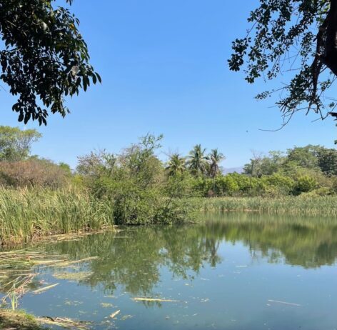 Este verano explora las áreas naturales protegidas de Michoacán en familia