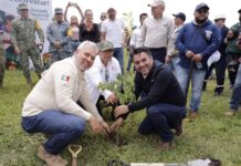 Más de 10 mil michoacanos se suman a la Jornada Nacional de Reforestación: Bedolla*