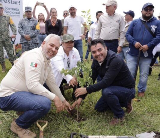 Más de 10 mil michoacanos se suman a la Jornada Nacional de Reforestación: Bedolla*