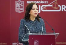D4TA Datos Gratis ahora beneficiará a docentes de bachillerato y universidad pública