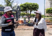 Morebús impulsa reforestación urbana este domingo 23 de agosto