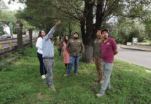 Morebús fortalece la compensación ambiental con la replantación de 50 árboles