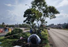 Cumple Gobierno del Estado con permisos ambientales del Morebús otorgados por el Ayuntamiento de Morelia