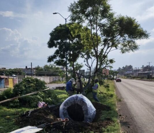 Cumple Gobierno del Estado con permisos ambientales del Morebús otorgados por el Ayuntamiento de Morelia