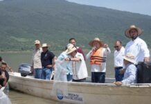 Compesca libera 80 mil nuevas crías de pez blanco en el lago de Pátzcuaro