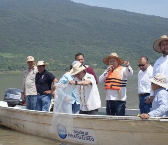 Compesca libera 80 mil nuevas crías de pez blanco en el lago de Pátzcuaro