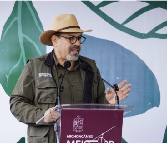 Secma pone a disposición de la ciudadanía estudio de impacto ambiental del Morebús