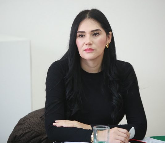 Presidenta de Asuntos Electorales, Diana Espinoza, se reúne con Consejeros del IEM