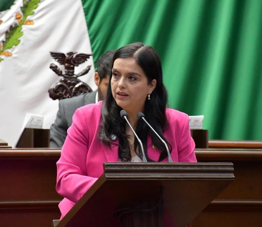 Teresita Herrera presenta iniciativa para la protección a la salud mental de niñas, niños y adolescentes en juicios familiares