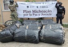 SSP y Marina aseguran camioneta con casi media tonelada de marihuana en Lázaro Cárdenas