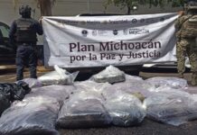 Guardia Civil asegura 250 kilos de marihuana y un vehículo en Arteaga