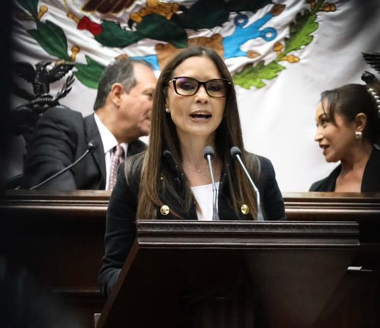 Impulsa Nalleli Pedraza reforma para crear el sistema estatal para visibilizar la realidad de las personas con discapacidad