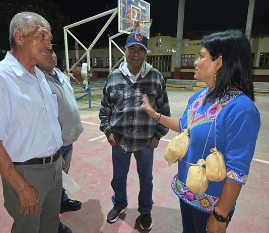 Consulta a pueblos indígenas y personas con discapacidad, paso pendiente para reformar la Ley de Educación
